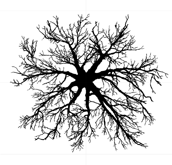 50th Street Station Art